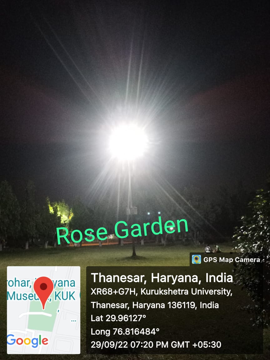 Rose Garden Lights