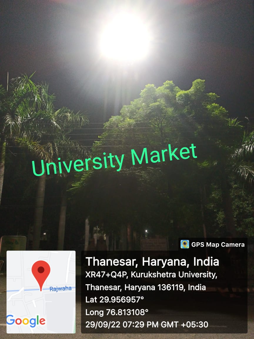 University Market Lights