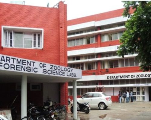 WhatsApp Image 2026-02-11 at 12.12.29