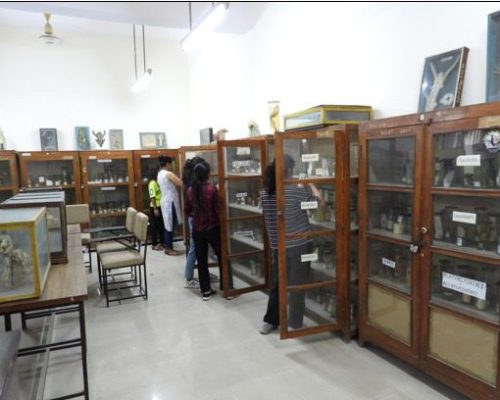 WhatsApp Image 2026-02-11 at 12.13.07