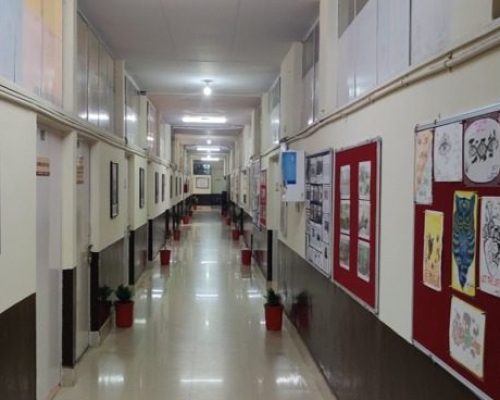 WhatsApp Image 2026-02-11 at 12.13.22