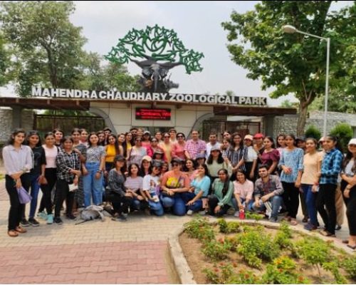 WhatsApp Image 2026-02-11 at 12.35.07